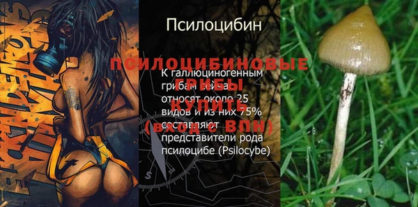 экстази Магадан