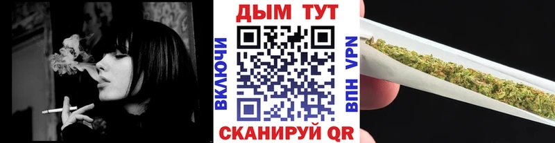 Купить  Западная Двина  Марихуана OG Kush 